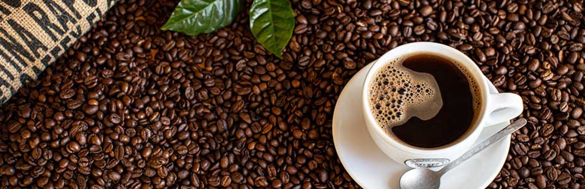 Kaffeevortrag