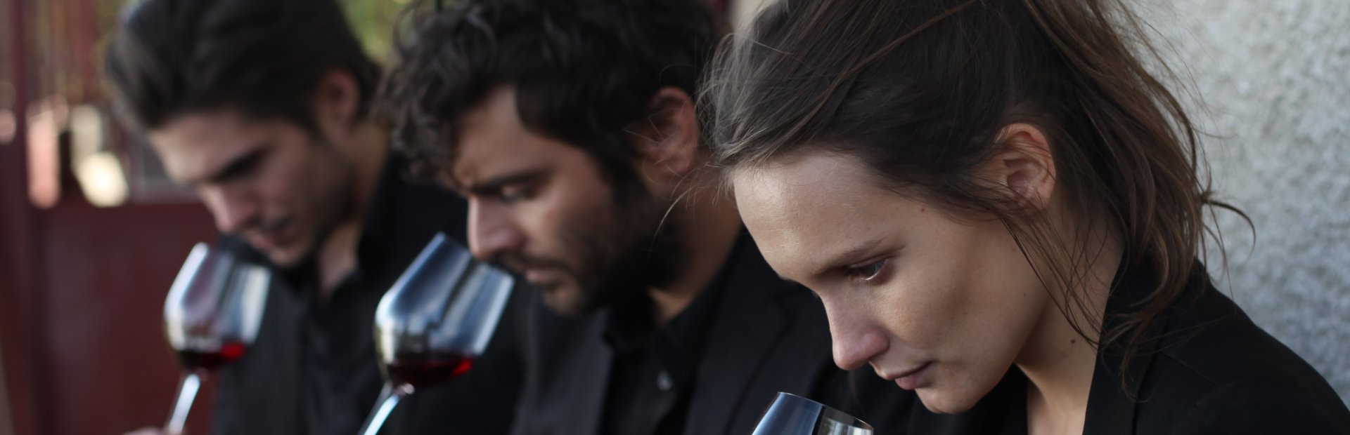 Der Wein und der Wind