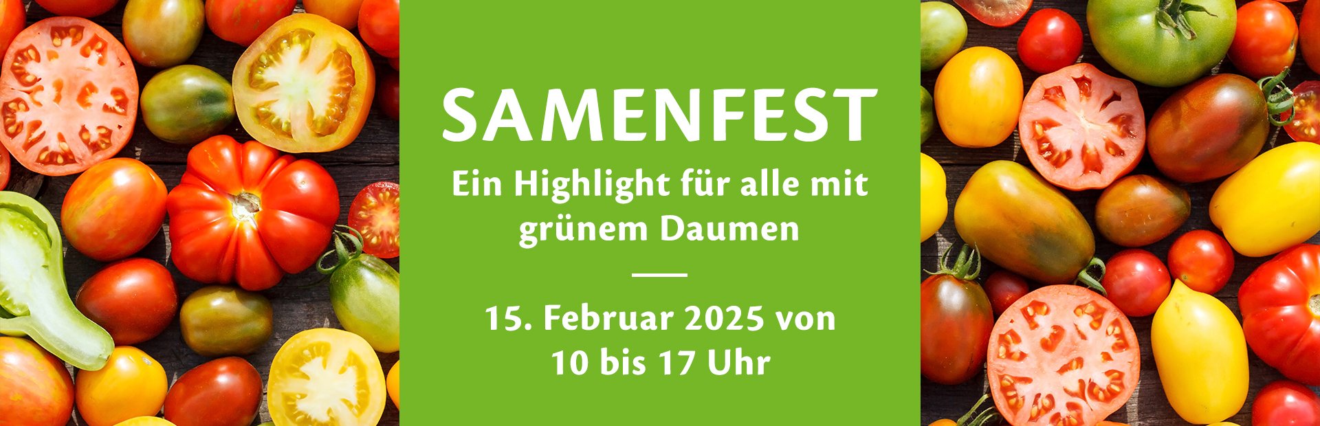 Samenfest