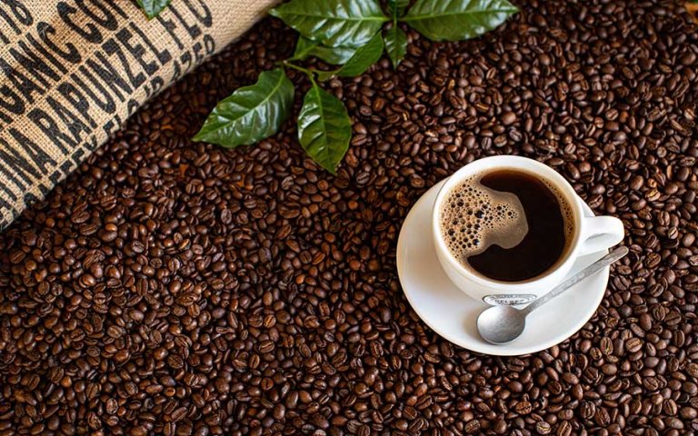 Kaffeevortrag