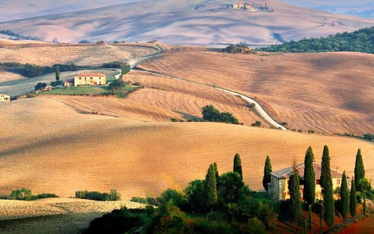 Toni Filice