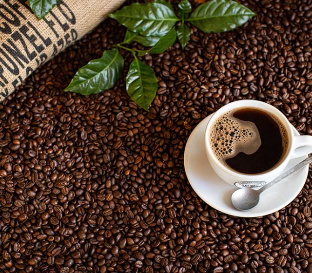 Kaffeevortrag