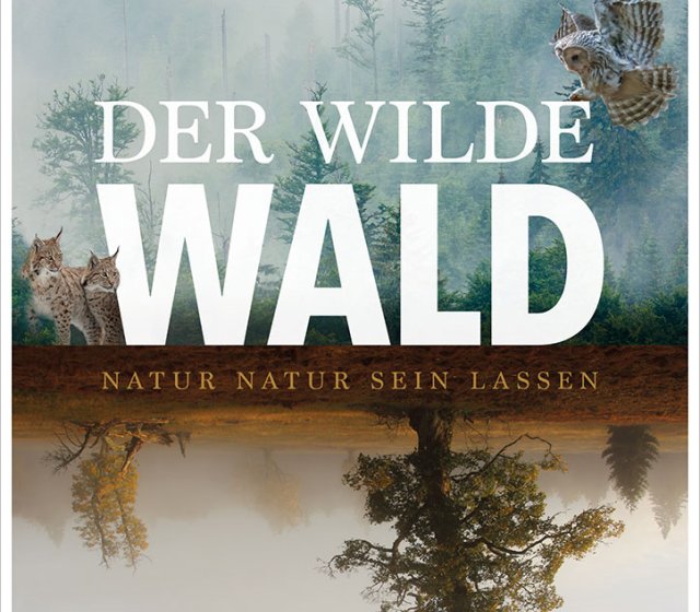 Der Wilde Wald