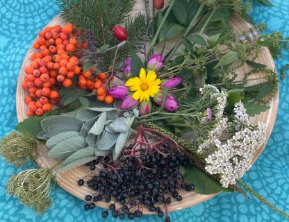 Bunte Kräuter auf Holzschale auf blauem Tuch